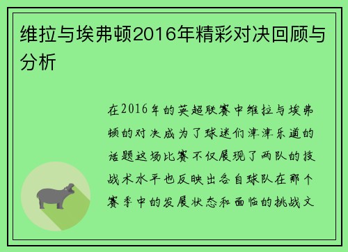 维拉与埃弗顿2016年精彩对决回顾与分析